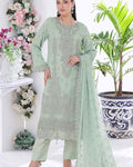 Sage Green Chiffon Suit