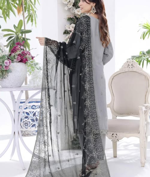 Grey Chiffon Embroidered Suit