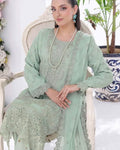 Mint Chiffon Embroidered Suit