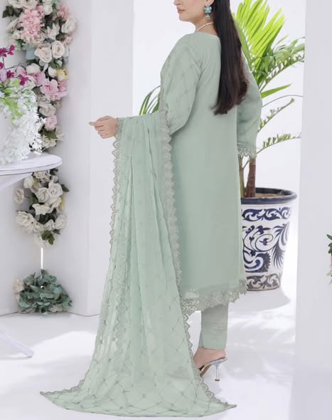 Sage Green Chiffon Suit