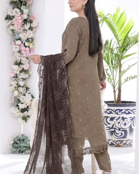 Brown Chiffon Embroidered Suit