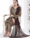 Brown Chiffon Embroidered Suit