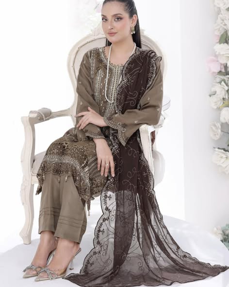 Brown Chiffon Embroidered Suit