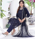 Navy Chiffon Embroidered Suit